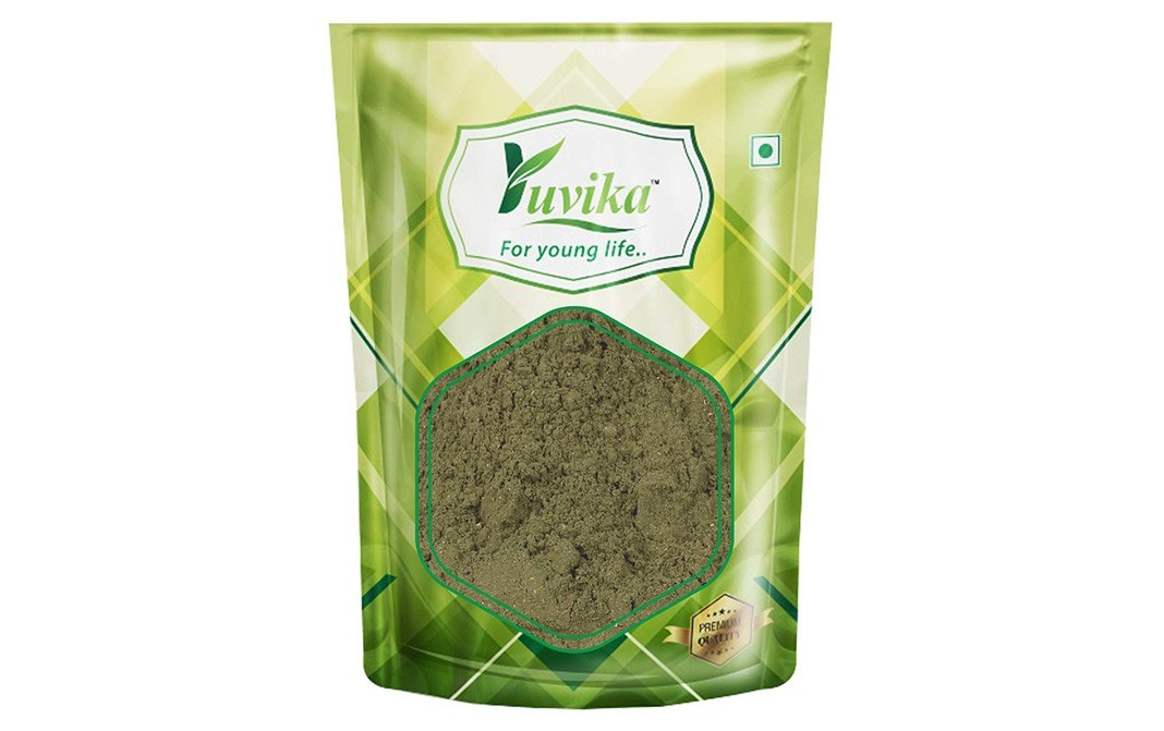 Yuvika Podina Powder Mint Leaves   Pack  100 grams